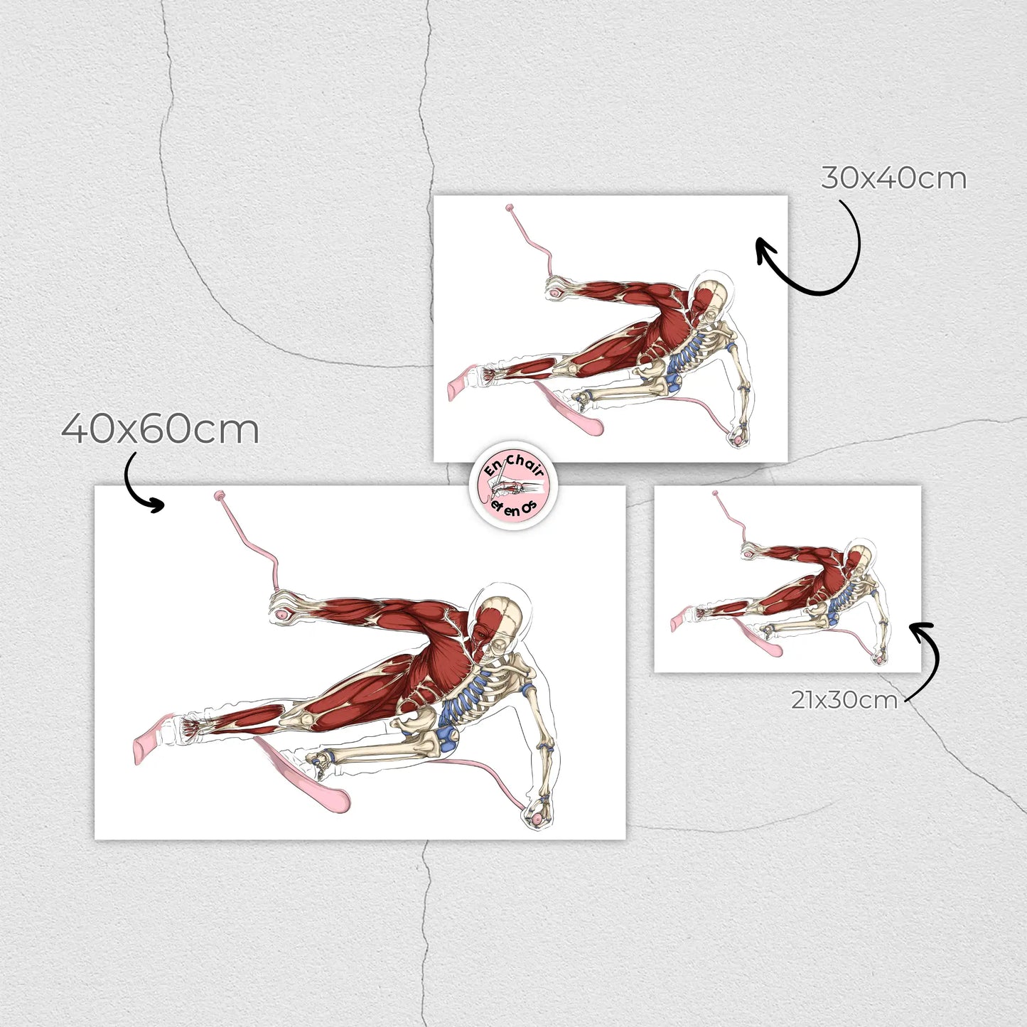 Écorché anatomique du ski alpin - Super-G - Nils Alphand