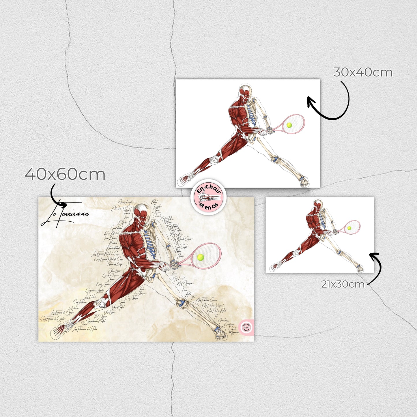 anatomie des muscles et squelette tennis djokovic en chair et en os